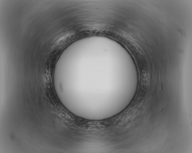 X0000112180918200908071323