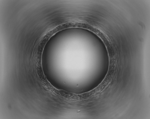 X0000112180919200908071323