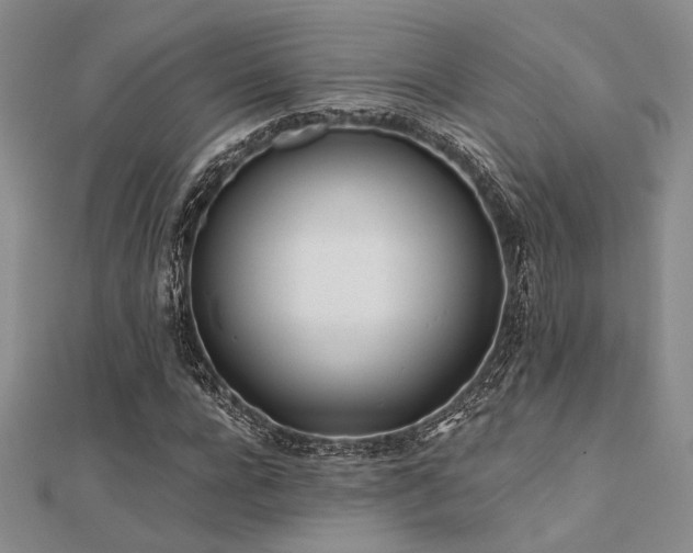 X0000112180920200908071323