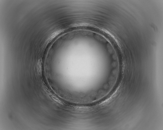 X0000112180921200908071323