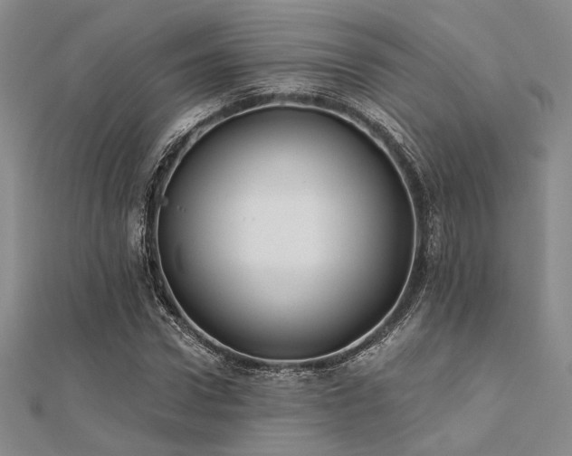 X0000112180922200908071323