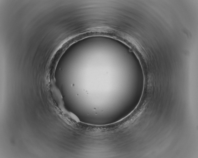 X0000112180923200908071323