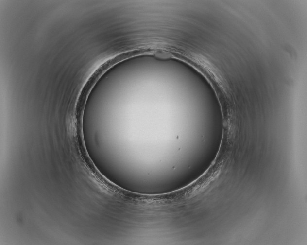 X0000112180924200908071323