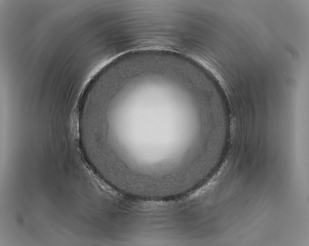 X0000112180925200908071323