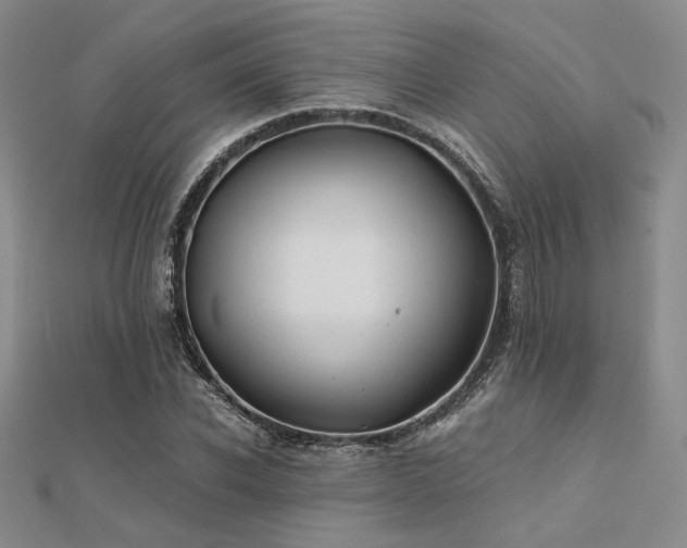 X0000112180926200908071323