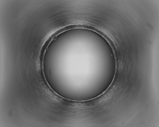 X0000112180927200908071323