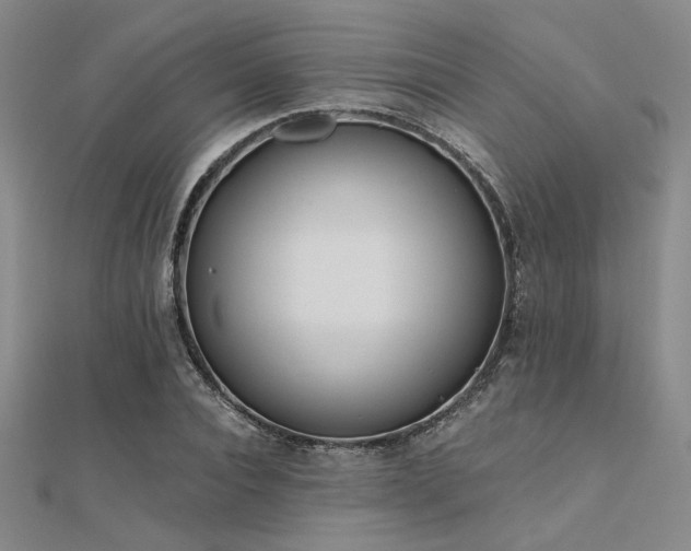 X0000112180928200908071323