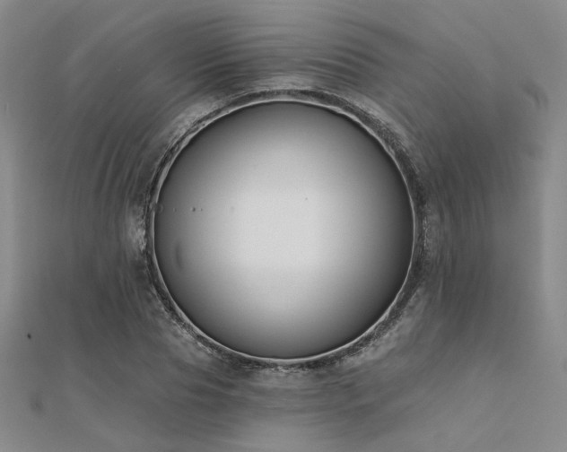 X0000112180929200908071323