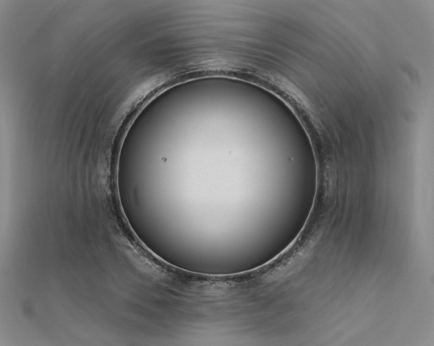 X0000112180930200908071323