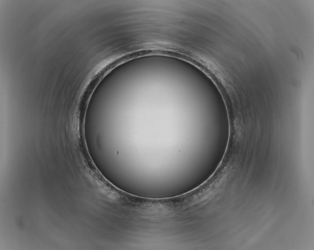 X0000112180931200908071323