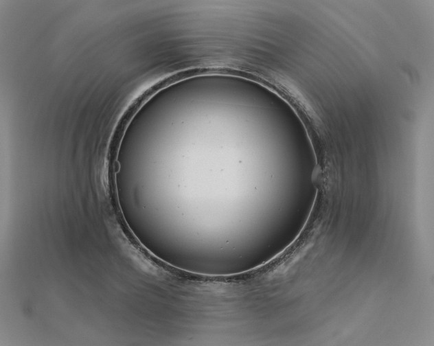 X0000112180932200908071323