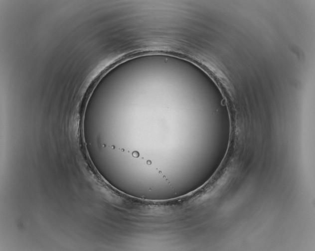 X0000112180933200908071323