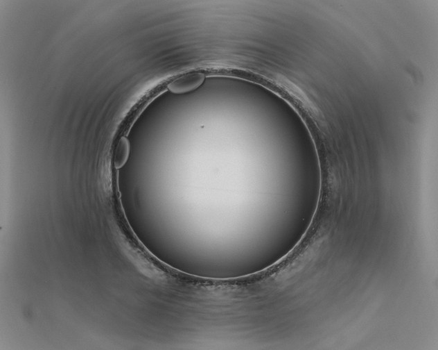 X0000112180934200908071323