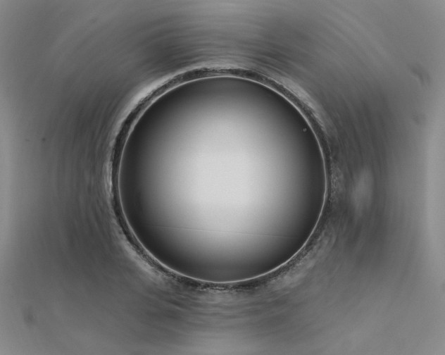 X0000112180935200908071323