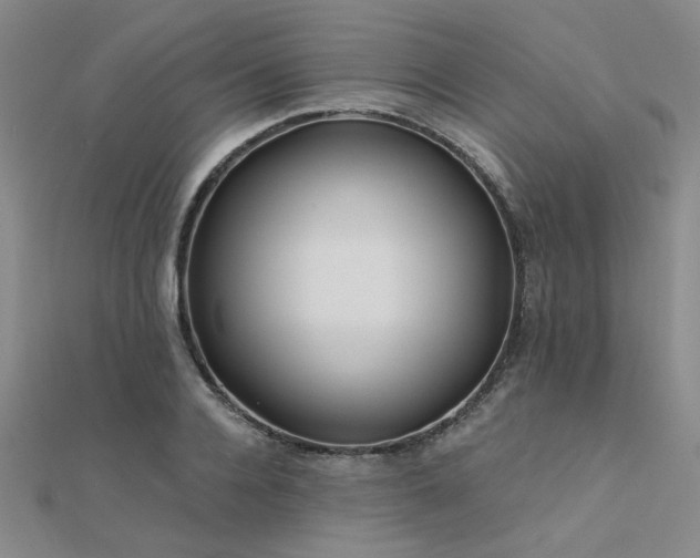 X0000112180936200908071323