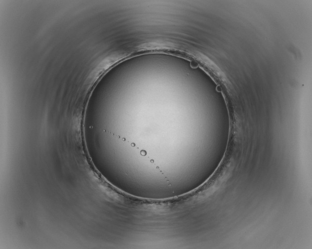 X0000112180937200908071323