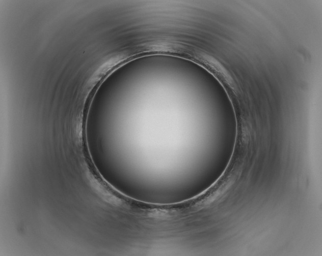 X0000112180938200908071323