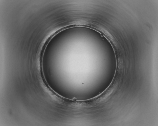 X0000112180939200908071323