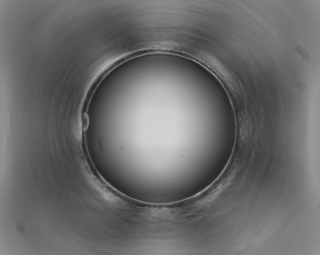 X0000112180940200908071323