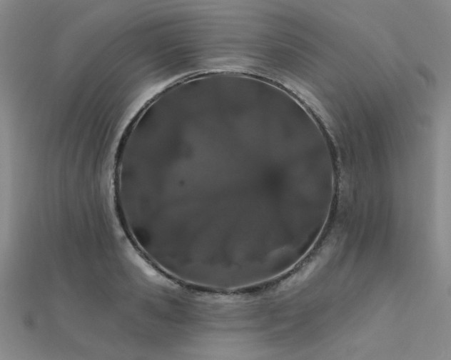 X0000112180941200908071323