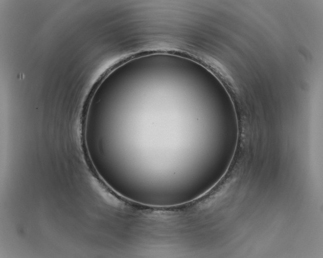 X0000112180942200908071323