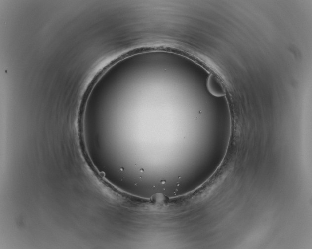 X0000112180943200908071323