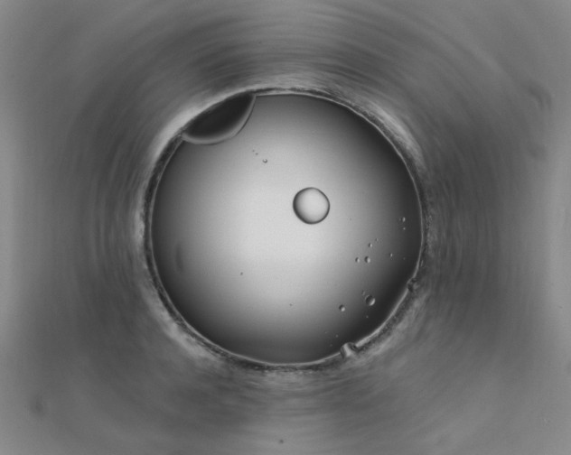 X0000112180944200908071323