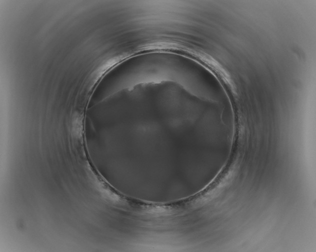 X0000112180945200908071323