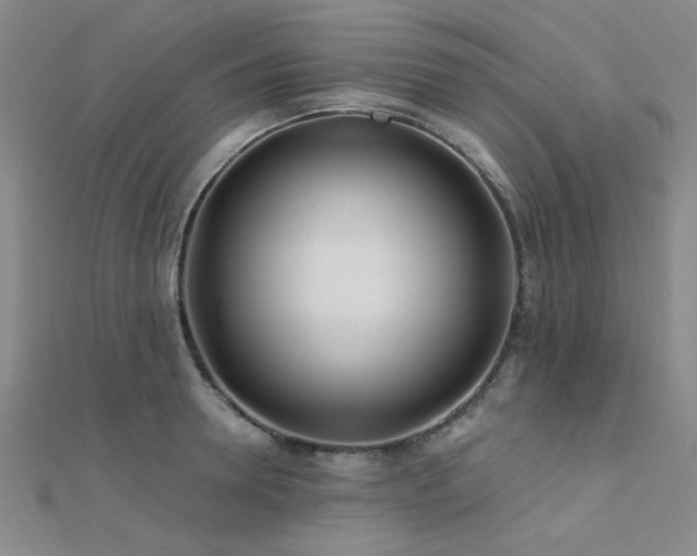 X0000112180946200908071323