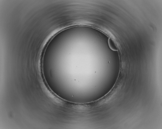 X0000112180947200908071323