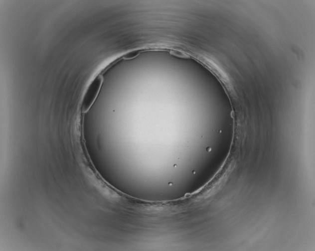 X0000112180948200908071323