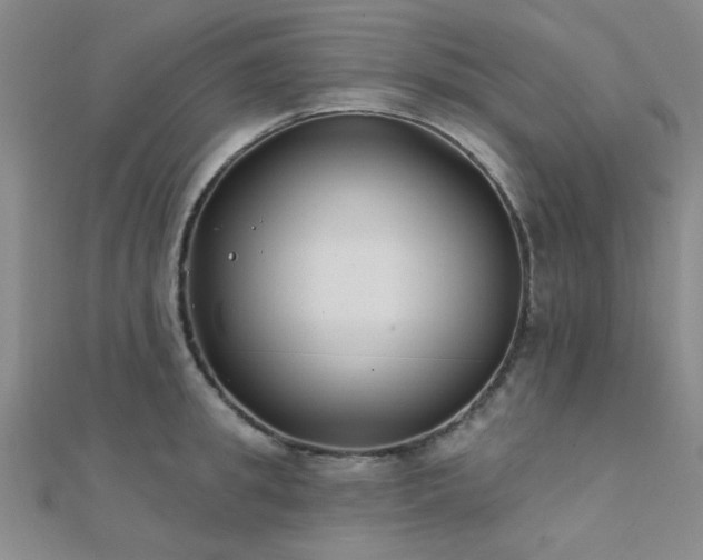 X0000112180949200908071323