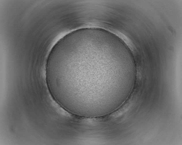 X0000112180950200908071323