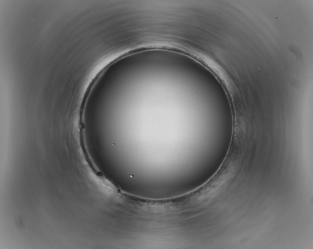 X0000112180951200908071323