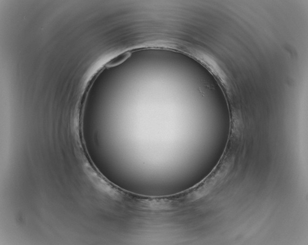 X0000112180952200908071323