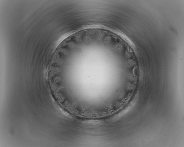 X0000112180953200908071323