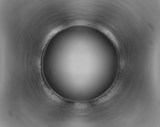 X0000112180954200908071323