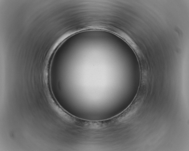 X0000112180955200908071323