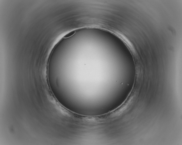 X0000112180956200908071323