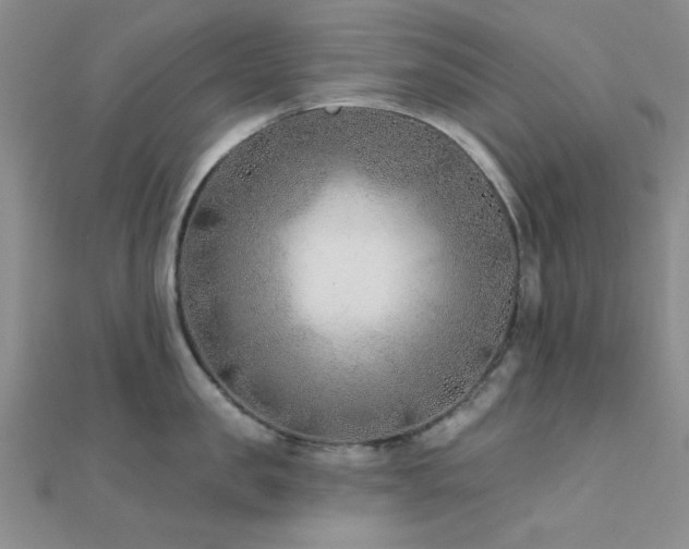 X0000112180957200908071323