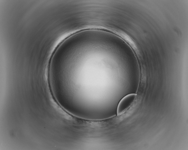 X0000112180958200908071323