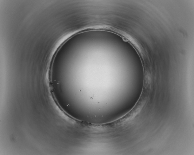 X0000112180959200908071323