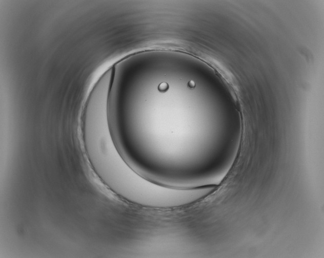 X0000112180960200908071323