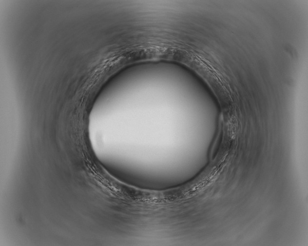 X0000112180961200908071323