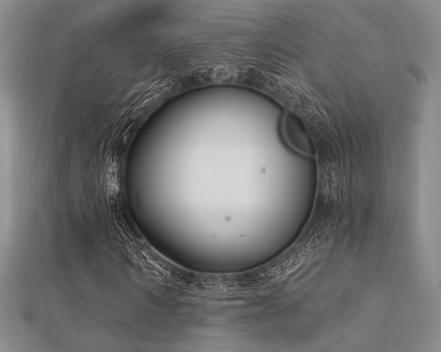 X0000112180962200908071323