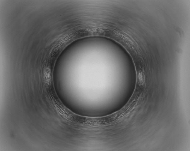 X0000112180963200908071323