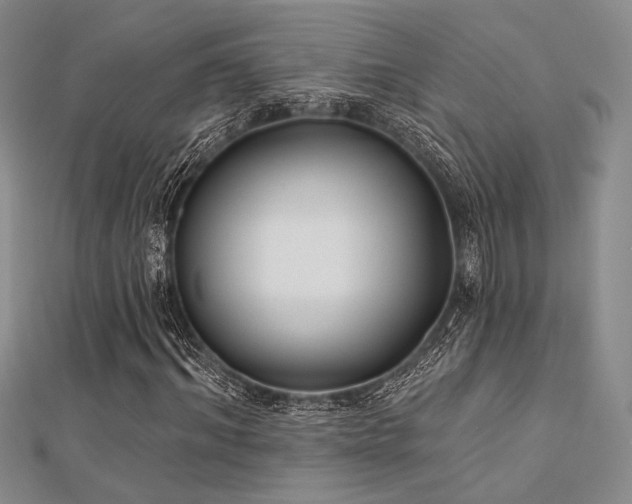 X0000112180964200908071323