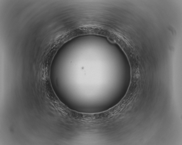 X0000112180965200908071323