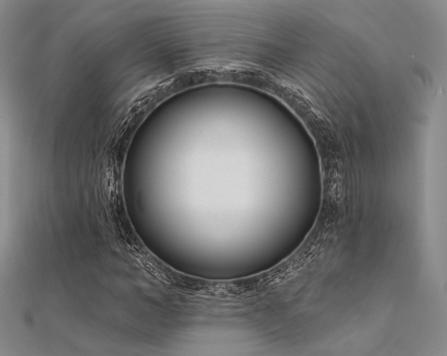 X0000112180966200908071323