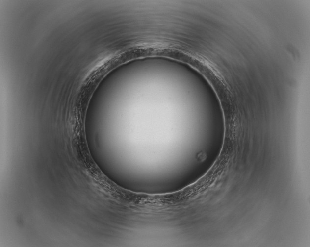 X0000112180967200908071323